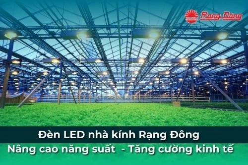 Rạng Đông Store